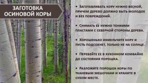 НАТОЩАК пейте. Паразиты Будут Выходить ГРОЗДЯМИ