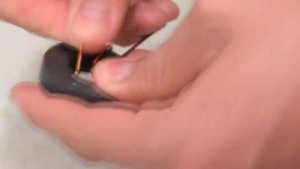 Бесплатное электричество из картошки своими руками сделает каждый