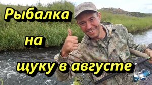 Рыбалка на щуку в августе