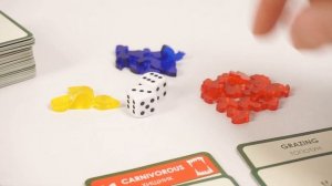 Настольная игра ПРАВИЛЬНЫЕ ИГРЫ Эволюция (базовая версия)