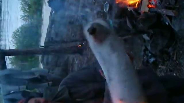 Примус смотреть онлайн