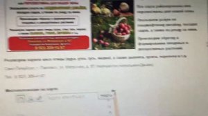 Павловский питомник (Санкт-Петербург, город Павловск). Саженцы и многое другое