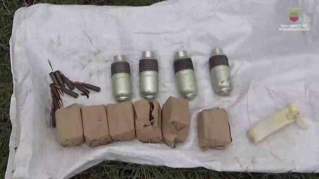 Полиция со служебными собаками обнаружила схрон с боеприпасами в лесополосе в Мелитопольском районе.