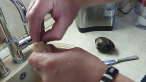 Спизула . Как ее разделать .