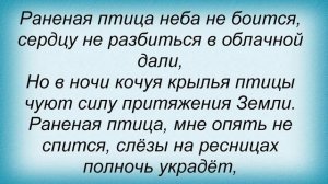 Слова песни Диана Гурцкая - Раненая птица