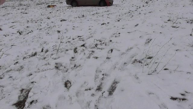 Муфлон 410х 76