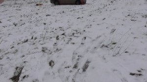 Муфлон 410х 76