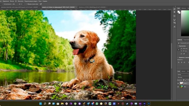 Как размыть задний фон\часть изображения в Adobe Photoshop