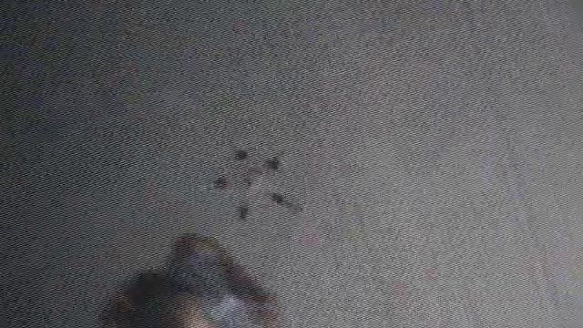 вид снизу
