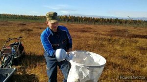 мотособака motodog и paxus по болоту за клюквой.