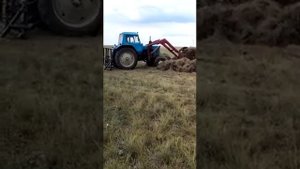 Мтз - 80 стогомет 2022 год август