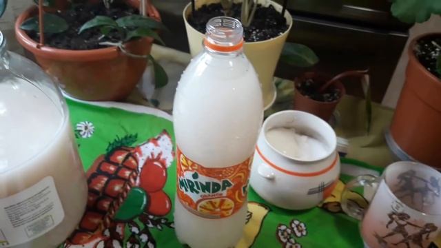 #подкормка#удобрение#
дрожжевая подкормка для комнатных растений, цветов.