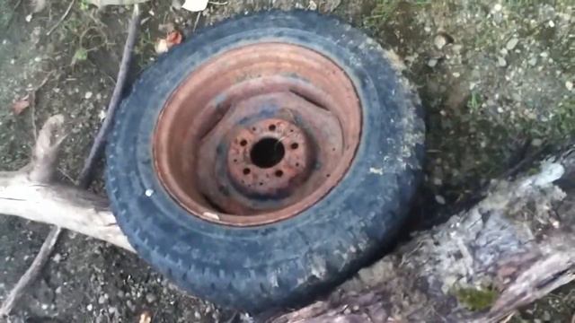 Herping!! And New Salamander. смотреть онлайн