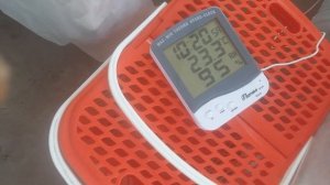 Прививка дыни.