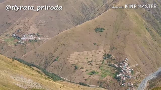 Тлярата природа