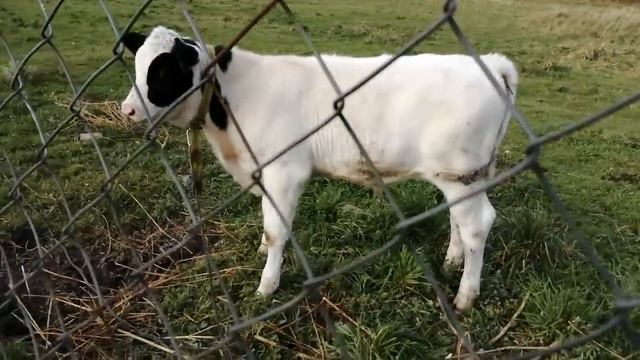 РЕАЛЬНАЯ ЖИЗНЬ НА ПЕНСИИ!В ГОСТЯХ У ЗРИТЕЛЕЙ!ВЫ ДОЛЖНЫ ЭТО УВИДЕТЬ! смотреть онлайн