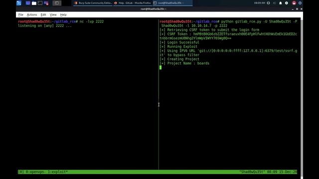 GitLab 11.4.7 CE Authenticated Remote Code Execution смотреть онлайн