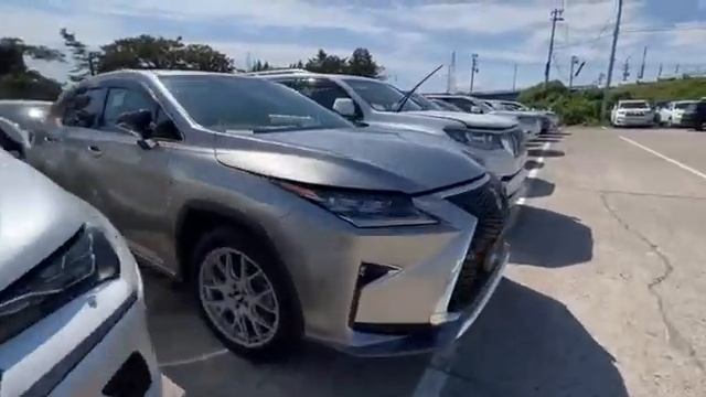 Что привезти из Японии?