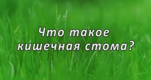 Что такое кишечная стома?