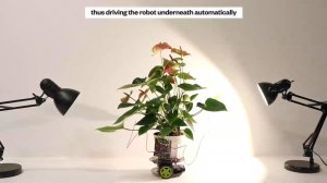 В MIT разработали растение-киборг
