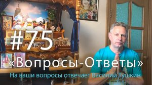 "Вопросы-Ответы", Выпуск #75 - Василий Тушкин отвечает на ваши вопросы