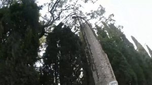 Форос-Алупка