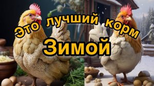 Выращивание микрозелени для животных