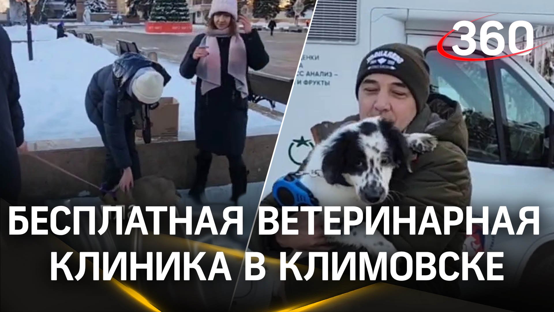В центре Климовска развернута бесплатная ветеринарная клиника
