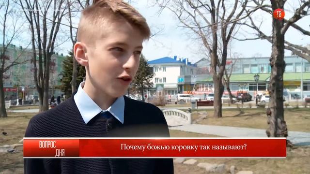 03.05.2017 Блиц: "Почему божью коровку так называют?" смотреть онлайн