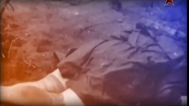 Легенды советского сыска Стальные пальцы