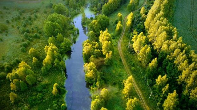 #aerial #balloon #view Воздушные шары в небе 2023 Небо России Воздухоплавание New Season Aeronautics