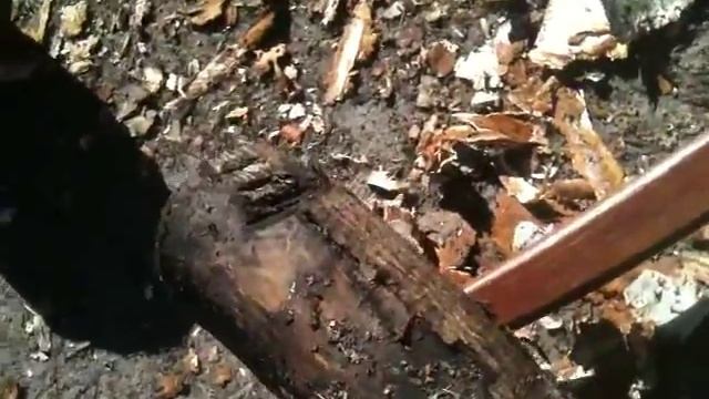 Ошкуривание Бревна смотреть онлайн