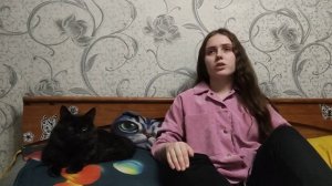 КАК перевести кошку или кота на другой корм или еду