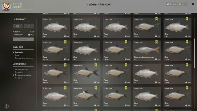 рр4 Лещ  озеро Старый Острог  Лещ после обновы  Old Burg Lake  Bream 