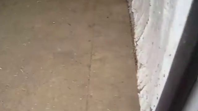 renault master смотреть онлайн