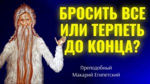Бросить все или терпеть до конца? Без Бога ничего не бывает! Преподобный Макарий Египетский