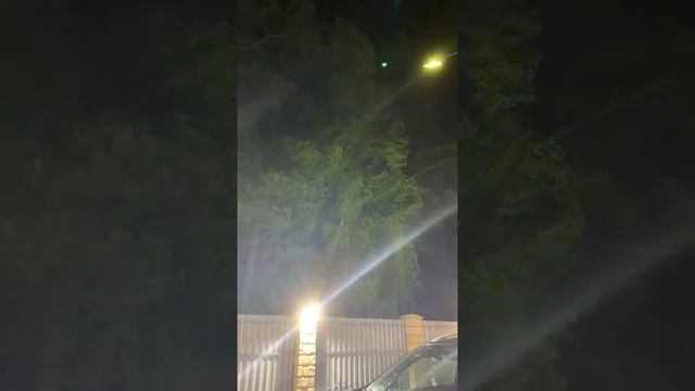 ВНОВЬ УСМИРЯЕМ ВЕТЕР… смотреть онлайн