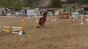 конный спорт, конкур до 80 см.