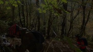 Трейлер. Прогулка железных коней по горам Адыгеи.mp4