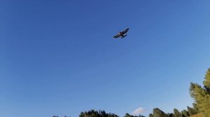 Грузовой парашют в деле.