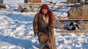 Жизнь и быт Ненцев