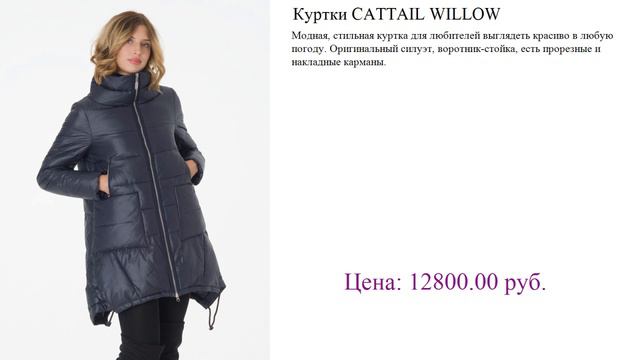 Куртки CATTAIL WILLOW модные зимние куртки