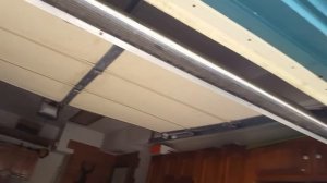 Охота на экзотику края. Как выманить из дупла пчелу-плотника? У Вани стресс.