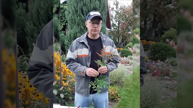"Азбука цветов" с Павлом Горбенко. #Астильба
