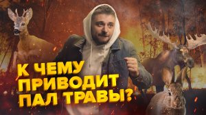 Нужно ли сжигать траву весной? | Причины пожаров | Сортировочная