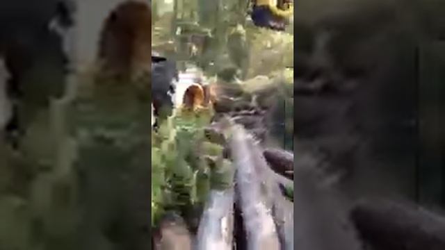 Работает студент Мигович смотреть онлайн