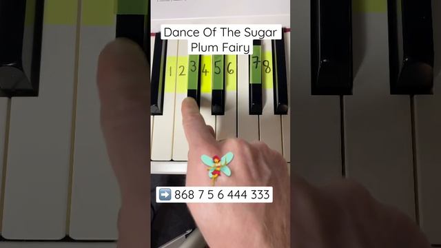 How to play Dance Of The Sugar Plum Fairy (Tchaikovsky) on piano