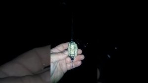 Пневмопушка для рыбалки ч.2