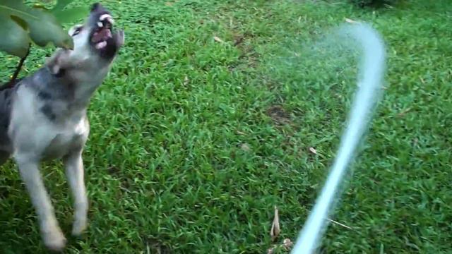 Jumper Drinking смотреть онлайн