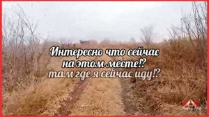 Притяжения нет | парк Притяжение